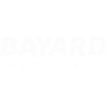 bayard.png.png